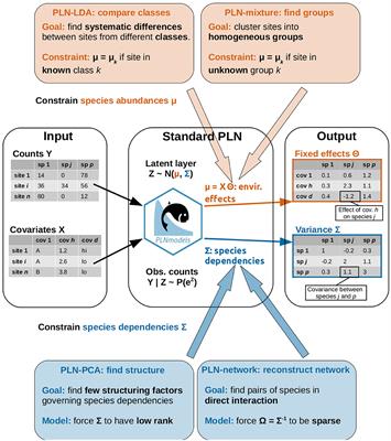 The Poisson-Lognormal Model as a Versatile Framework for the Joint Analysis of Species Abundances